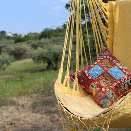 Villa Sarno Montesilvano Marina 외부 사진