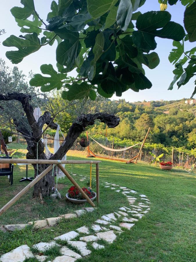 Villa Sarno Montesilvano Marina 외부 사진