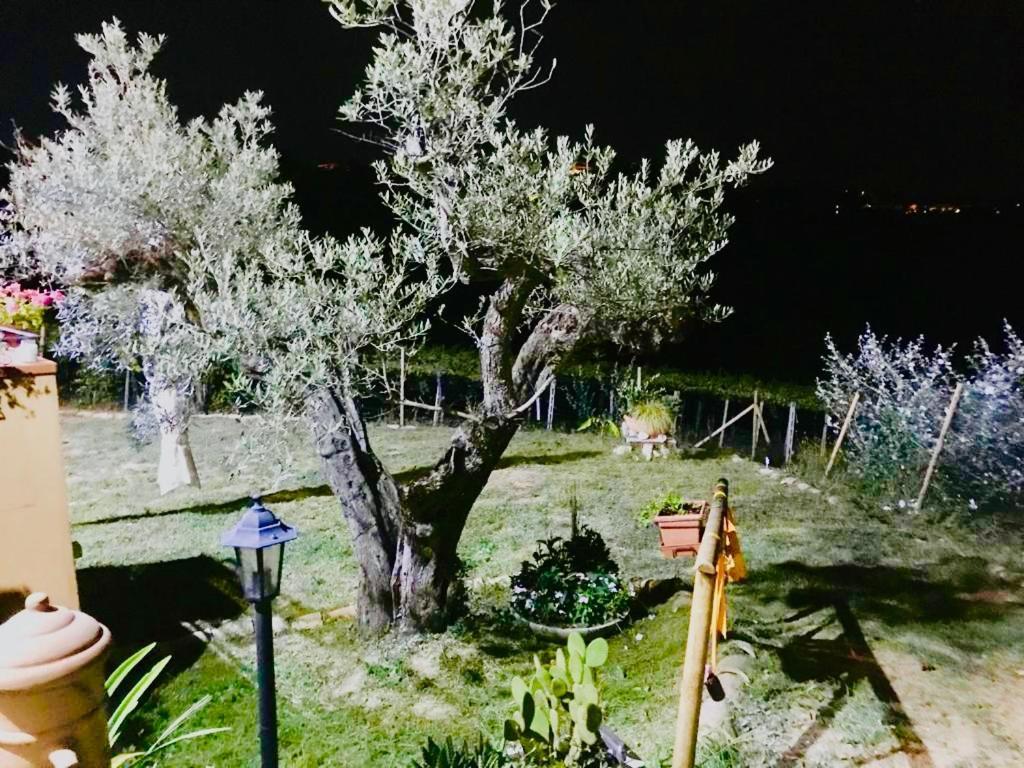 Villa Sarno Montesilvano Marina 외부 사진